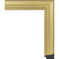 348.RS33.145 Пластиковый багет Золотой