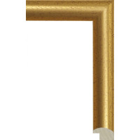 122N.RS.001 Пластиковый багет Золотой
