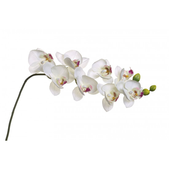 8J-1219S0003 Орхидея белая 85 см (12)