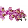 8J-1219S0004 Орхидея розовая 85 см (12)