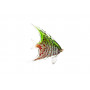 Статуэтка Рыба зелено-красная 19х5х21 см F6902