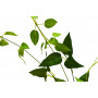 9F28340N-5183GR Веточка с листьями 80 см (24)