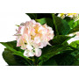 Гортензия бело-розовая в горшке, 113 см 29BJ-919-63