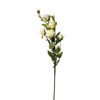 Роза кустовая белая 73 см 9F27994-4269