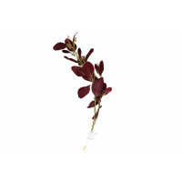 9F28558-BR Веточка эвкалипта с цветами листья бордовые 72см (24)