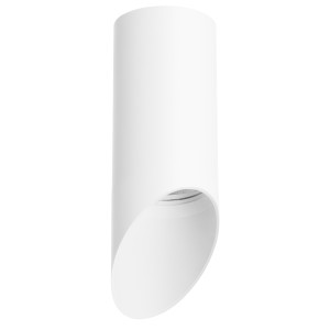 Накладной точечный светильник Rullo Rullo Lightstar R43636