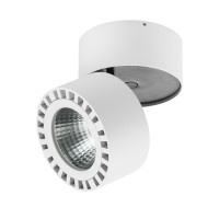 Светодиодный накладной светильник заливающего света Forte Lightstar 381364