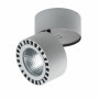 Светодиодный накладной светильник заливающего света Forte Lightstar 381393