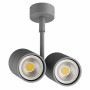 Накладной точечный светильник под заменяемые галогенные или LED лампы Rullo Lightstar 214449