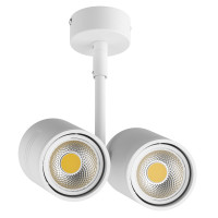 Накладной точечный светильник под заменяемые галогенные или LED лампы Rullo Lightstar 214446