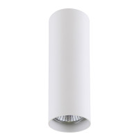 Накладной точечный декоративный cветильник Rullo Lightstar 214496