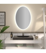 Овальное зеркало с подсветкой Тамин 40х60 см Р2607