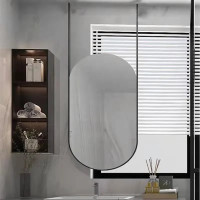  Овальное зеркало капсульной формы с креплением к потолку Виола 3