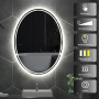 Овальное зеркало с LED подсветкой Омега 01