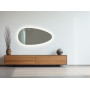 Зеркало с задней LED подсветкой органической формы Терминус