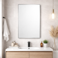 Зеркало в алюминиевой раме Серебро Алюминиум 003