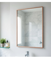 Зеркало в бежевой алюминиевой раме Сильвиан 005