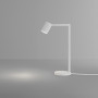 Настольная лампа Ascoli Desk 1286016