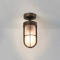 Потолочный светильник Cabin Frosted Semi Flush 1368011